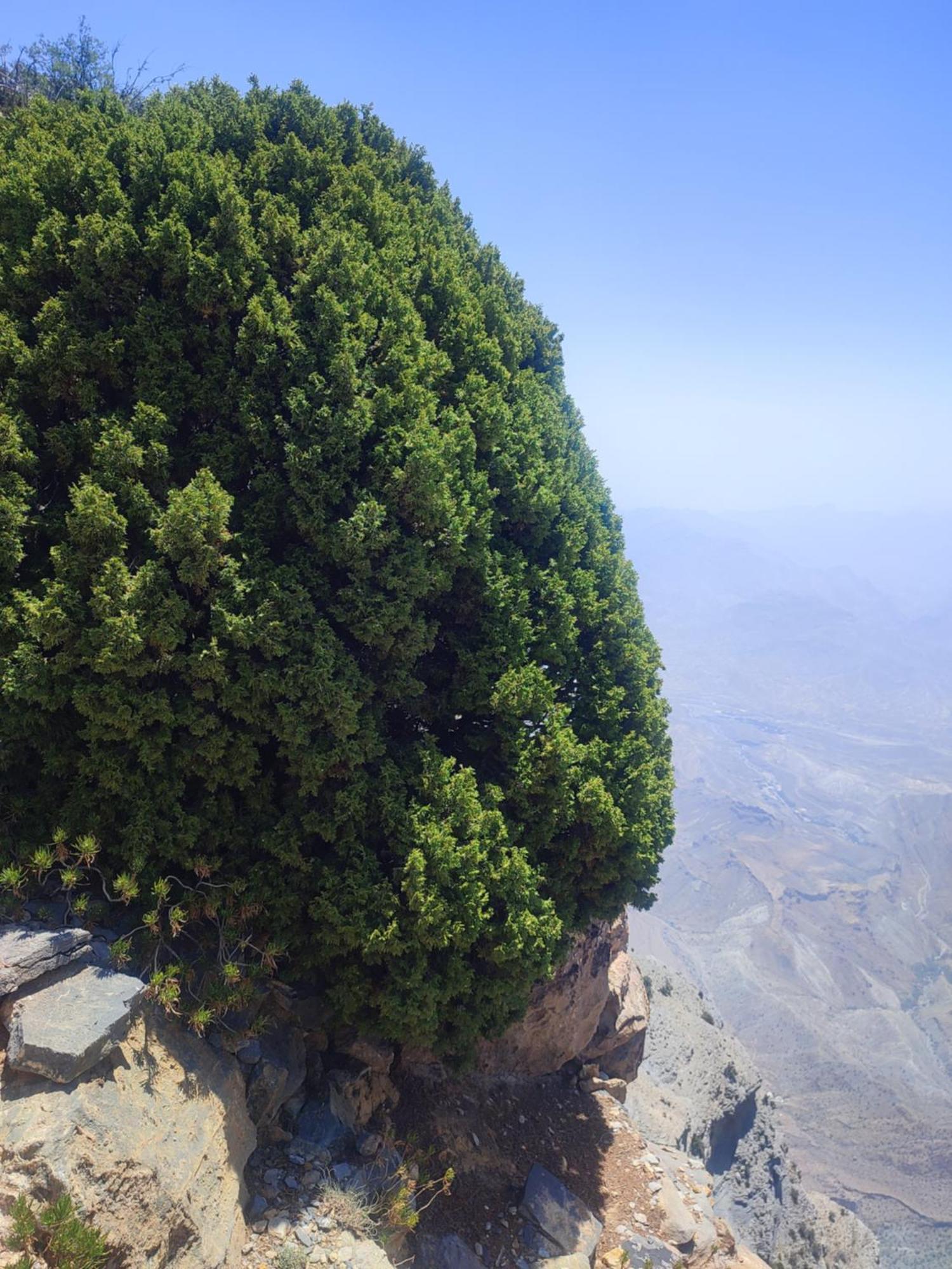 Holiday home Stone Jebel Shams